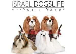בית ארז דוגסלייף
