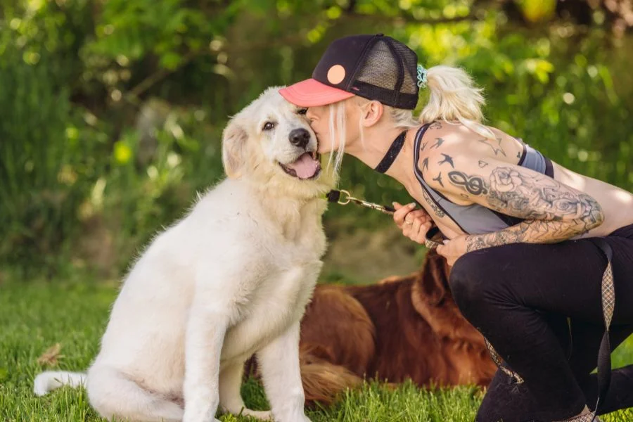 בית הספר לכלבים