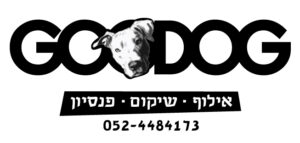GoodoG - אילוף שיקום ופנסיון ביתי לכלבים
