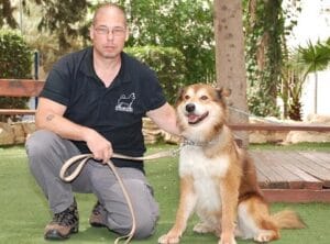 DOGORI  -אילוף ופנסיון ביתי לכלבים